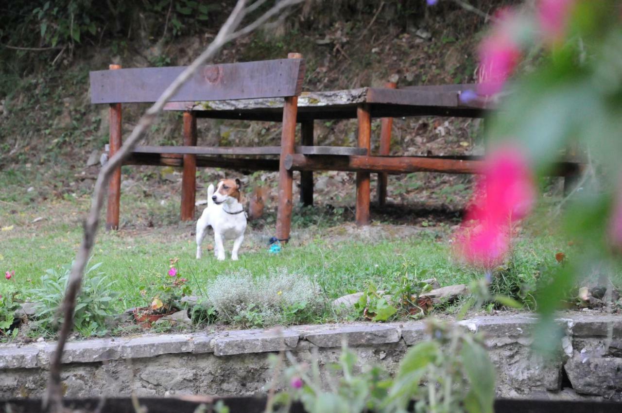Il Molino Di Serravalle Bibbiena Zewnętrze zdjęcie